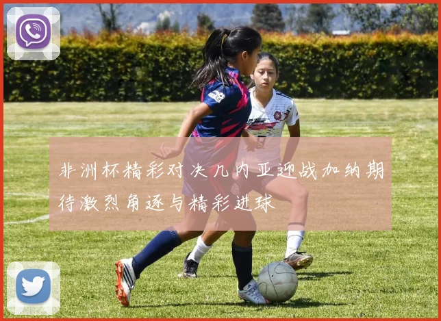 非洲杯精彩对决几内亚迎战加纳期待激烈角逐与精彩进球