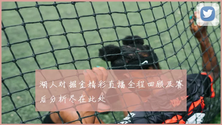 湖人对掘金精彩直播全程回顾及赛后分析尽在此处