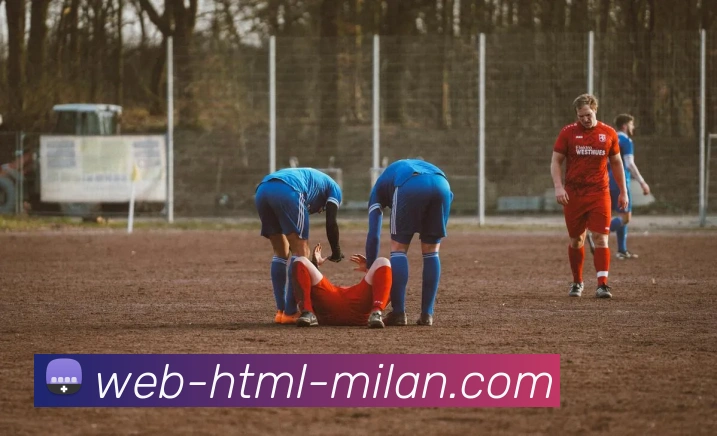 米兰体育APP 封面图